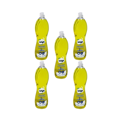 Pack 5 Lavaloza Concentrado Wyn 750 ml – Alto Poder Antigrasa