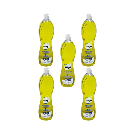 Pack 5 Lavaloza Concentrado Wyn 750 ml – Alto Poder Antigrasa