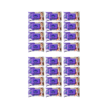 Pack 24 paquetes Toallitas Húmedas Babysec Hipoalergénicas Aloe Vera ,45u por paquete.