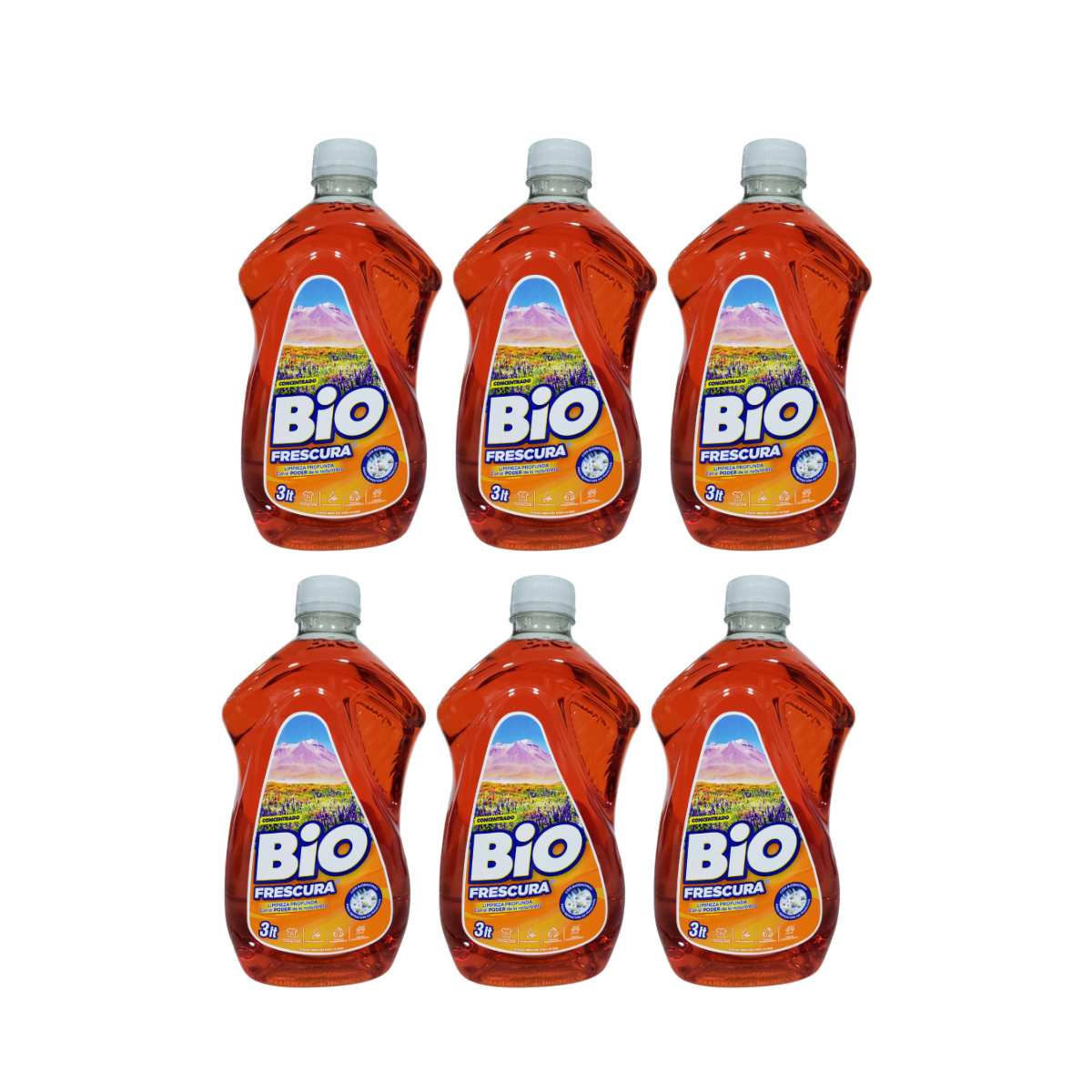 Pack 6 Detergente Liquido Bio 3lt cada uno , Aroma Desierto Florido
