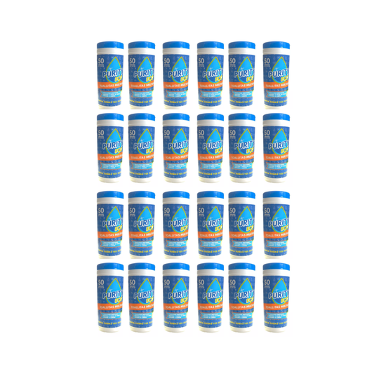 Pack 24 dispensadores de Toallitas desinfectantes PurityEco , 50u por dispensador