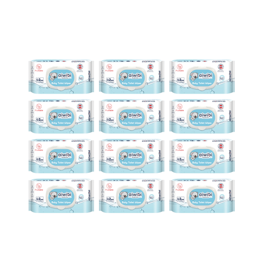 Pack 12  paquetes Toallitas Húmedas Aiwibi  Biodegradables .