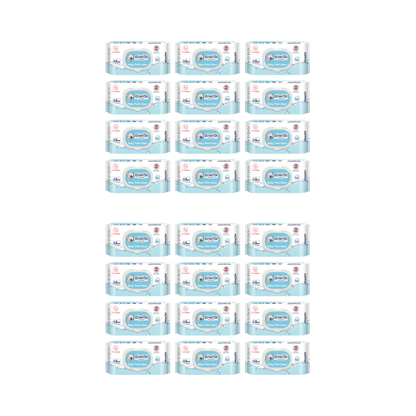 Pack 24 Paquetes Aiwibi toallitas Humedas Biodegradables