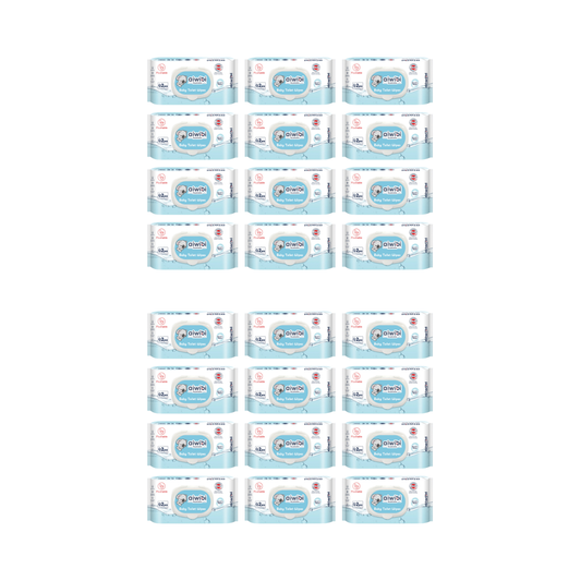 Pack 24 Paquetes Aiwibi toallitas Humedas Biodegradables